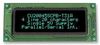 NORITAKE ITRON CU20045SCPB-T31B