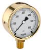 NOSHOK 25-300-3000-PSI