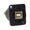 SWITCHCRAFT/CONXALL EHUSBBAX