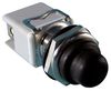 ELECTROSWITCH PB-12631ZQ