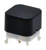 E-SWITCH PB300DTQ.
