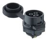 LUTRONIC 2420 02 T18CB100