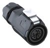 LUTRONIC 2440 04 T09CB T