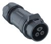 LUTRONIC 2440 08 T09CB A
