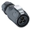 LUTRONIC 2450 04 T09CB T