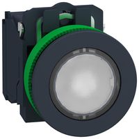 SCHNEIDER ELECTRIC XB5FW31B5