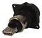 SWITCHCRAFT/CONXALL DCP-USBAT-F