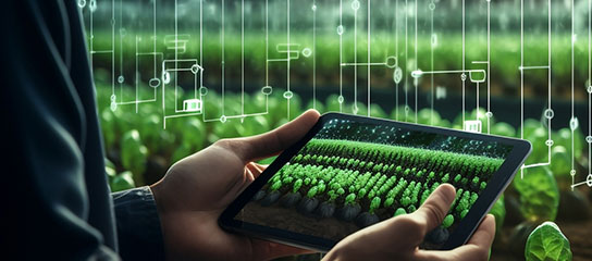 Sustainability and Sensors: Environmental Monitoring for a Greener Future